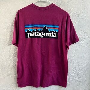 Patagonia Short sleeve shirt